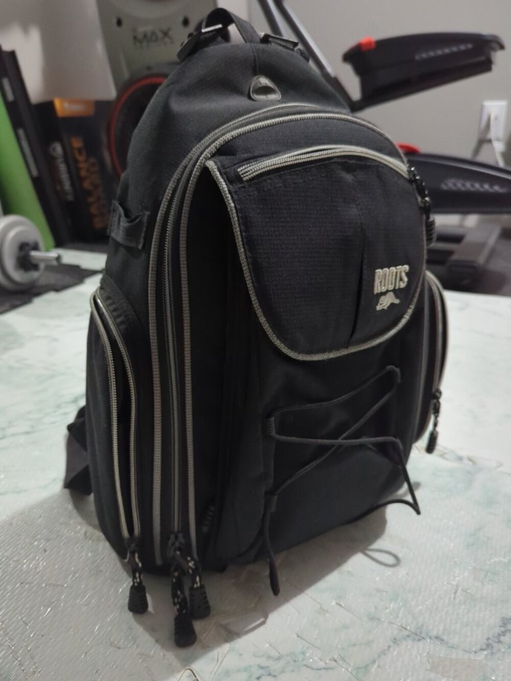 Backpack for cameras lenses and equipment Roots Canada. Read!